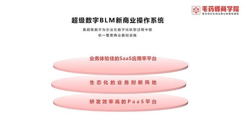 超級(jí)數(shù)字BLM新商業(yè)操作系統(tǒng) 引領(lǐng)數(shù)字技術(shù)服務(wù)新紀(jì)元